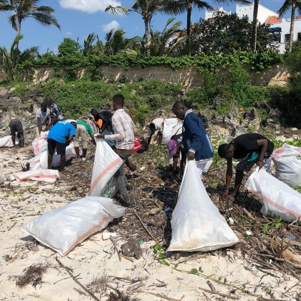 Host a Beach Clean Up - $100 removes 1 tonne of trash off our beach - Image 2